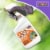 Bonide Copper Fungicide RTU Perspective: top