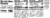 Kellogg's Special K Protein Shakes Strawberry Perspective: top