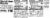 Kellogg's Special K Protein Shakes Chocolate Mocha Perspective: top