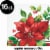 CC Paper Art Perfect Poinsettia Beverage Napkins - 16 Pack Perspective: top