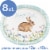 Creative Converting Blissful Bunny 10x12-Inch Paper Plate Perspective: top