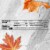 Dove Promises Dark Chocolate Pumpkins Fall Halloween Candy Perspective: top