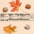 Dove Promises White Chocolate Pumpkin Pie Chocolate Candy Perspective: top