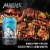 Alaskan Brewing Co. Husky IPA Craft Beer Perspective: top