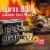 Duraflame® Gold Firelogs Perspective: top