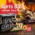 Duraflame® Gold Firelogs Perspective: top