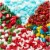 Holiday Home Holiday Shaped Sprinkles Perspective: top