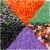 Holiday Home™ Halloween 6-Cell Brights Mix Sprinkles Perspective: top