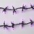 Holiday Home® Garland Lights - Purple Perspective: top