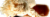 Kroger® Bamboo Emery Foot File Perspective: top