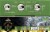 Pine Mountain® Alpine Forest Scented Firelogs Perspective: top