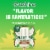 Outshine Creamy Coconut Fruit Bars Perspective: top