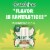 Outshine Creamy Coconut Fruit Bars Perspective: top