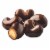Sconza Milk and White Chocolate Cashews (22 Ounce) Perspective: top