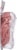 Boar’s Head Uncured Pouch Hard Salami Perspective: top
