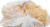 Bakery Fresh Mini Ciabatta Buns 12ct Perspective: top