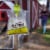 Rescue!® Disposable Fly Trap Perspective: top