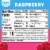 Jell-O Raspberry Sugar Free Jello Cups Gelatin Snack Perspective: top