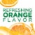 Tang Orange Naturally Flavored Powdered Soft Drink Mix Perspective: top