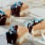 Honey Maid Graham Crackers Perspective: top