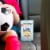 TEDDY GRAHAMS Honey Cookies Perspective: top