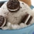 OREO Mini Chocolate Sandwich Cookies Perspective: top