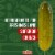 Claussen Kosher Dill Pickle Wholes Perspective: top