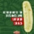 Claussen Hearty Garlic Deli-Style Sandwich Pickle Slices Perspective: top