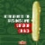 Claussen Kosher Dill Pickle Spears Perspective: top