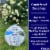Flexon 5/8 x 100ft Contractor Grade Garden Hose Perspective: top