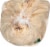 El Guapo® Corn Husks Perspective: top