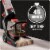 Dirt Devil Full Sized Carpet Cleaner Perspective: top