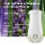 Glade® Tranquil Lavender & Aloe Scented Oil PlugIn Refills Perspective: top