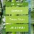 Glade Bamboo & Water Lily Bliss PlugIns Secented Oil Perspective: top