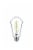 Philips 5.6-Watt (40-Watt) ST19 Vintage LED Dimmable Light Bulb - Daylight (5000K) Perspective: top