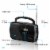 GPX AM/FM Portable Shortwave Radio - Black Perspective: top