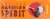 American Spirit Orange Cigarettes Perspective: top