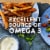 Best Foods with Olive Oil Mayonnaise Dressing Perspective: top