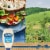 HELLMANNS Light Mayo Squeeze Bottle Light Mayonnaise Perspective: top