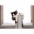 Prevue Pet Products Kitty Power Paws Play & Scratch Perspective: top