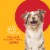 Petrodex Enzymatic Toothpaste For Dogs Perspective: top