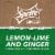 Sprite Ginger Lemon Lime And Ginger Flavored Soda Pop Soft Drink Fridge Pack Perspective: top