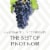La Crema Sonoma Coast Pinot Noir California Red Wine Perspective: top
