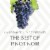 La Crema Sonoma Coast Pinot Noir California Red Wine Perspective: top