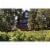 La Crema Fog Veil Pinot Noir California Red Wine Perspective: top
