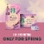 Starbucks Vanilla Lavender K-Cup Coffee Pods Perspective: top