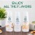 Starbucks Zero Hazelnut Flavored Liquid Coffee Creamer Hazelnut Flavored Creamer Perspective: top