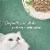Purina Fancy Feast Medleys Wet Cat Food White Meat Chicken Florentine Perspective: top