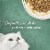 Purina Fancy Feast Medleys Wet Cat Food Tender Turkey Tuscany in Savory Broth Perspective: top