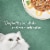 Purina Fancy Feast Medleys Wet Cat Food Wild Salmon Primavera Perspective: top